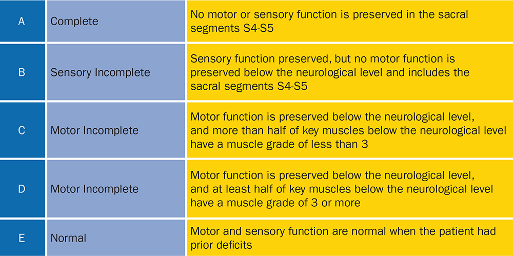 Impairment Scale includes Complete, Sensory Incomplete, Motor Incomplete with muscle grade of less than 3, Motor Incomplete with muscle grade of 3 or more, Normal